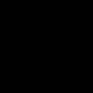 Meet your Posher, Jesus